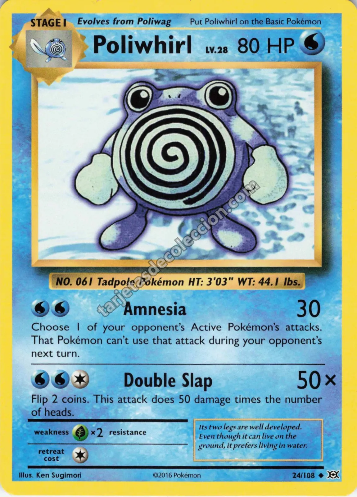 2016 Pokémon XY Evolutions Poliwhirl #24